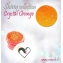 Paillette-crystal-orange