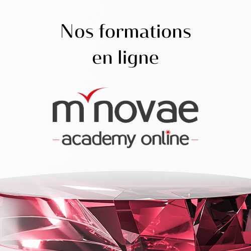 formation-online-mnovae-academy